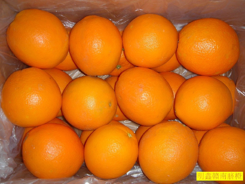 贛南臍橙銷(xiāo)售